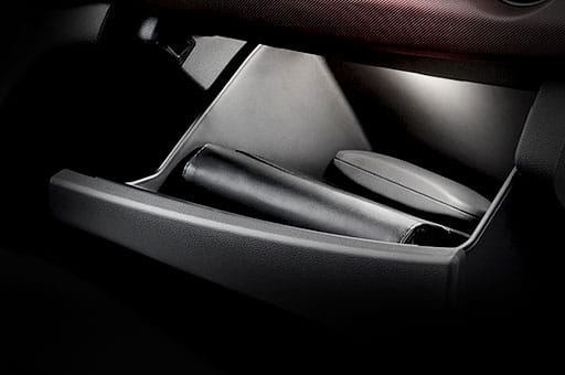 Object stored in the glove box