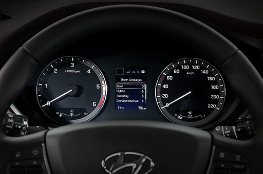 Supervision cluster with color TFT LCD