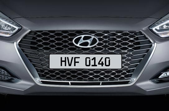 matt/chrome finish radiator grill