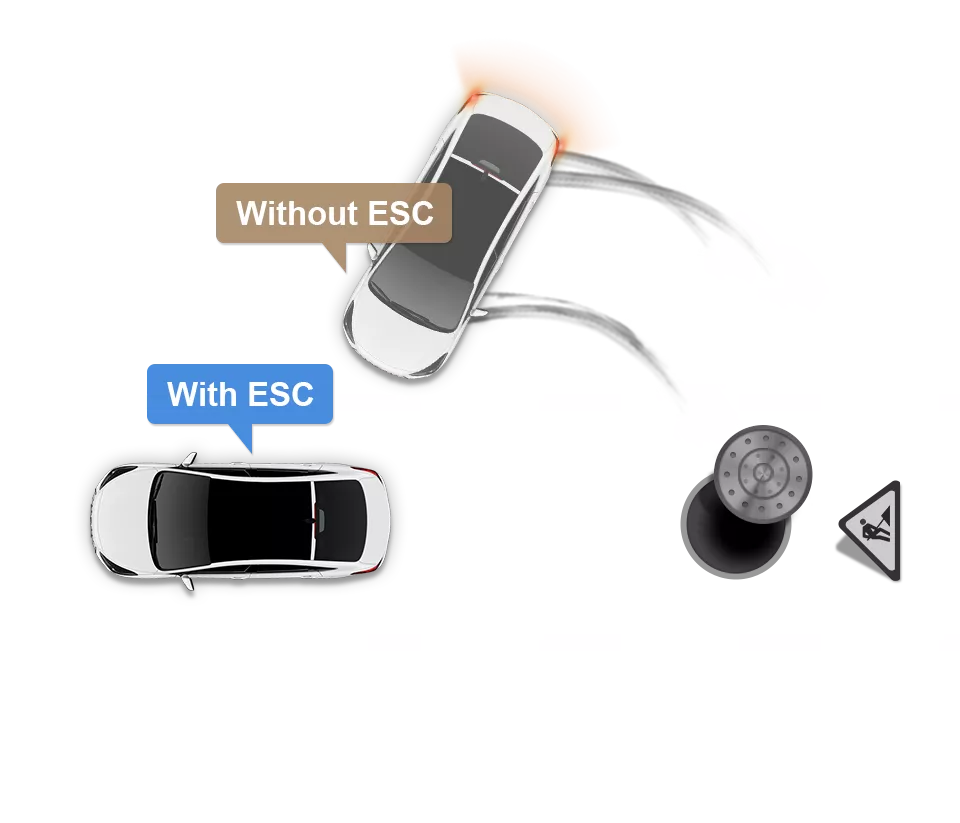 Electronic stability control (ESC) image