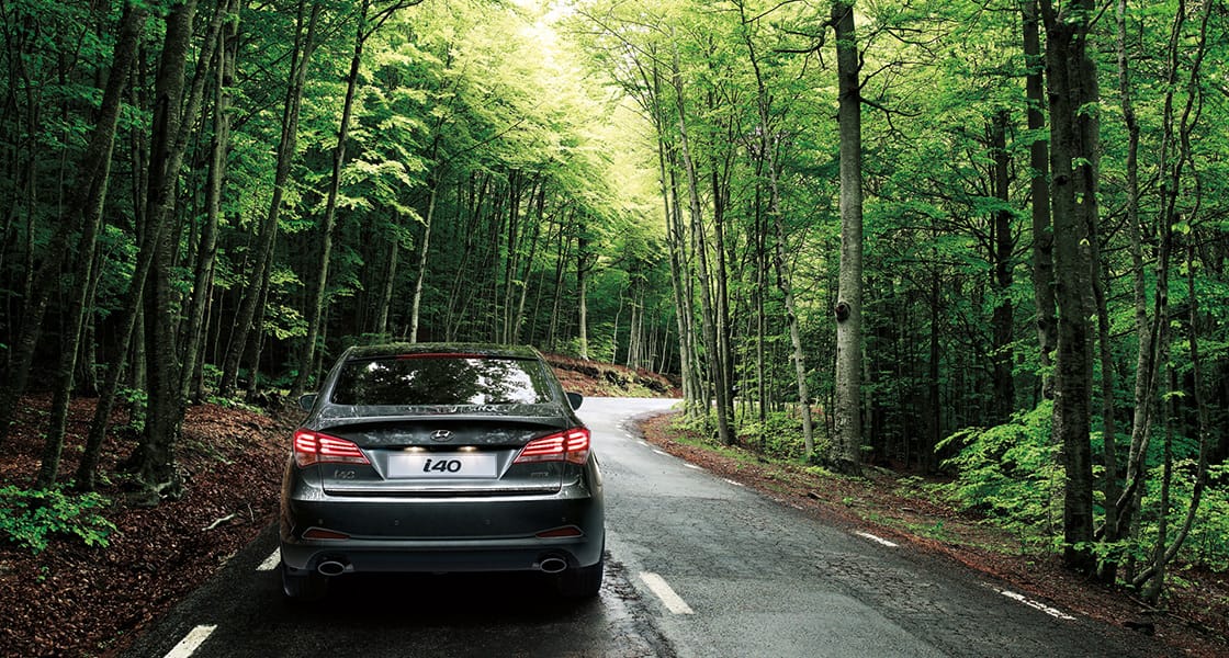 Rear view of black i40 sedan in the forest