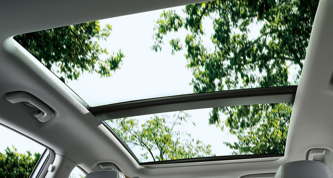 Trees and sky view through opened sunroof