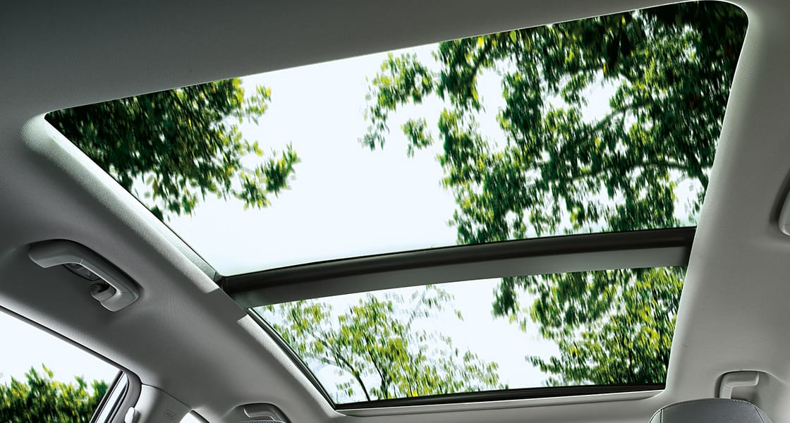 Trees and sky view through opened sunroof