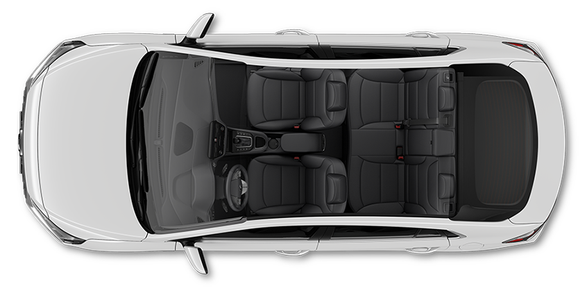 Black seat color