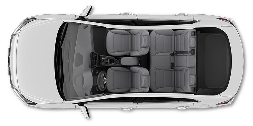 Gray seat color