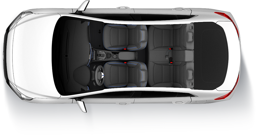 Black seat color