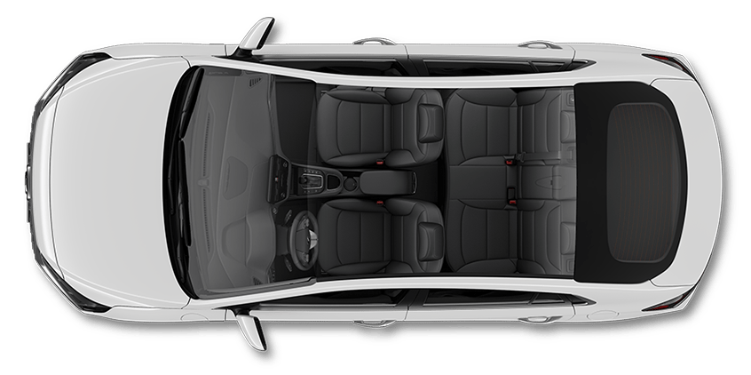 Black seat color