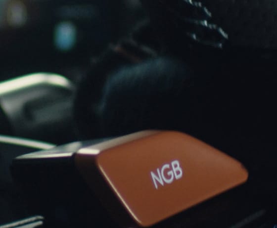 N Grin Boost image