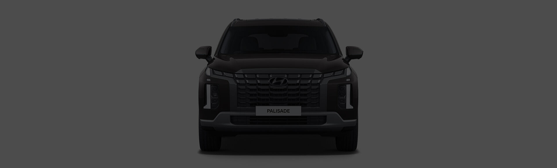Palisade exterior front design
