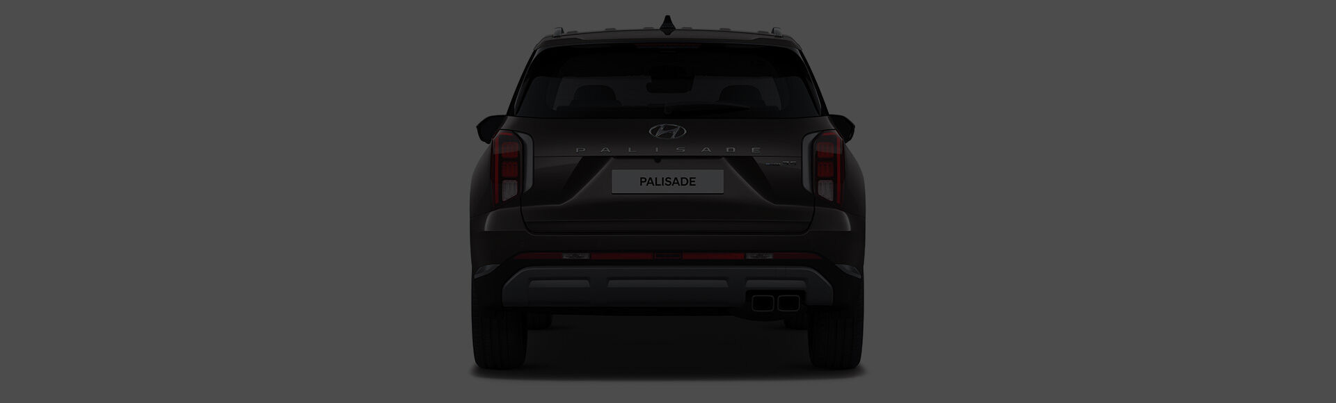 Palisade rear design