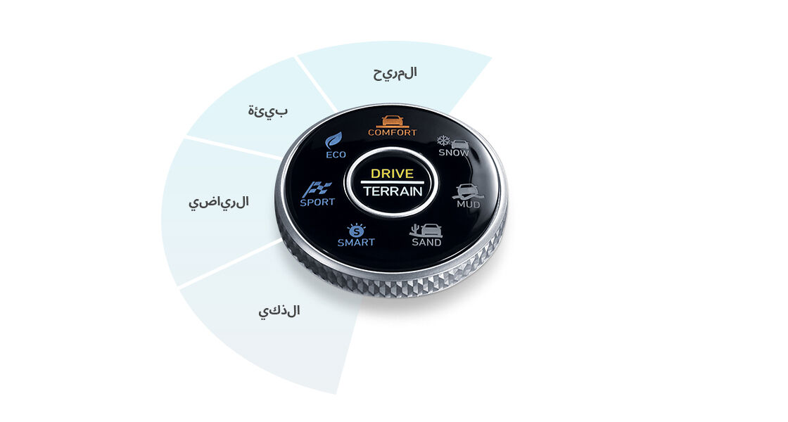 وضع القيادة