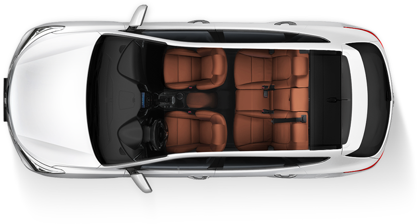 Brown seat color