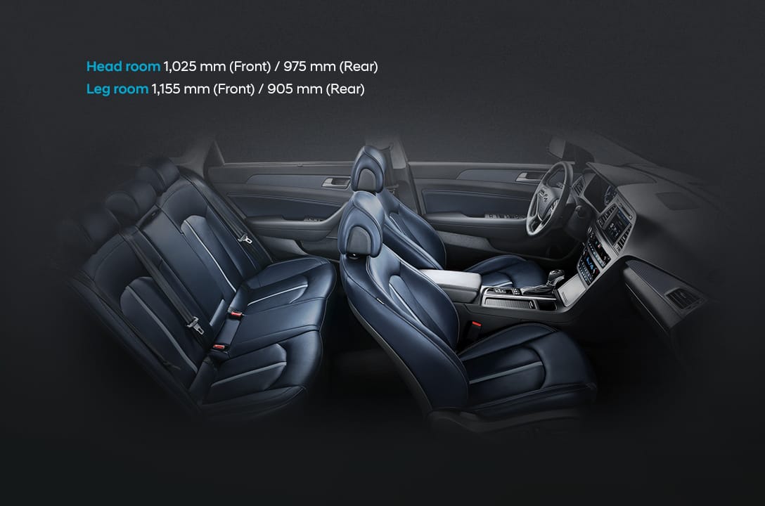 Passenger space view