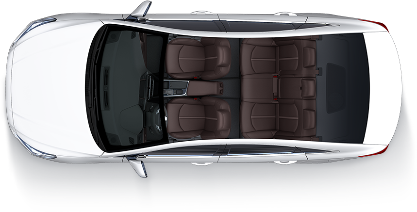 Black and Mocha Brown seat color