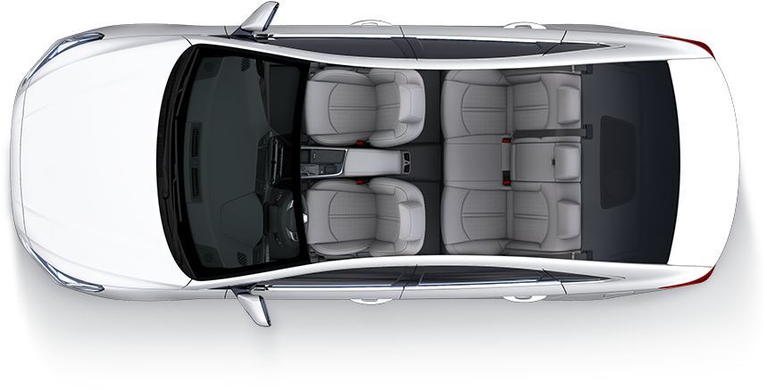 Gray two-tone seat color