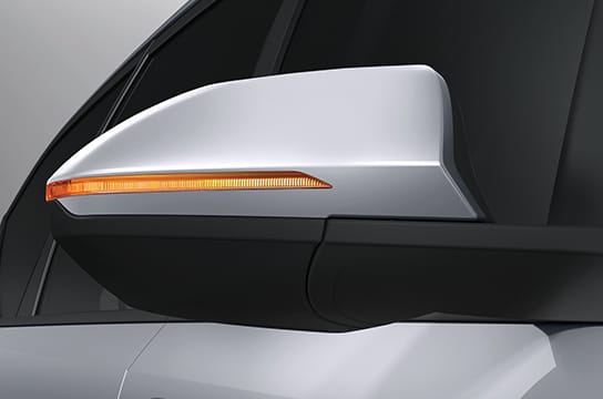 Outside Rear View Mirror with Turn Signal