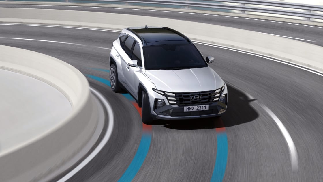 e-Dynamic Drive image