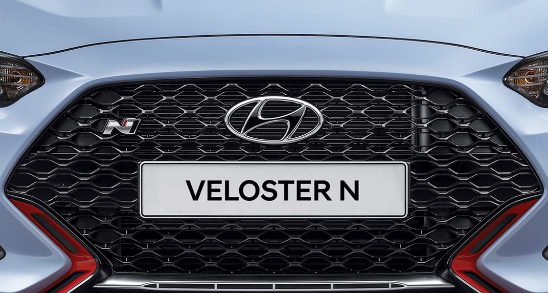 Black Meshed-type Radiator Grille