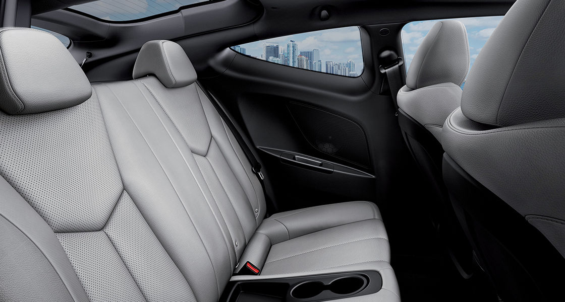 Light gray color rear seats interior
