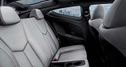 Light gray color rear seats interior