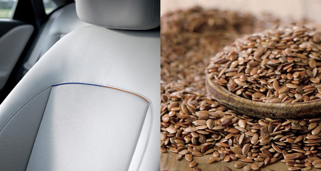 Eco-processed Leather