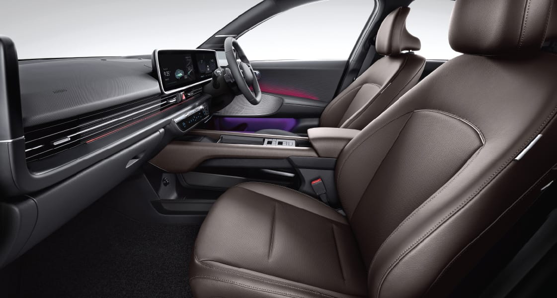 Black-Brown Two-Tone