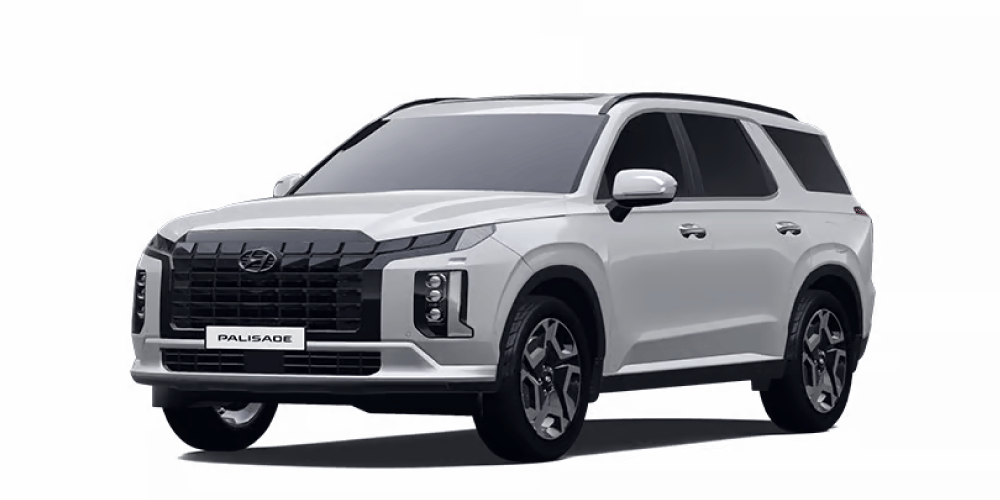 PALISADE
