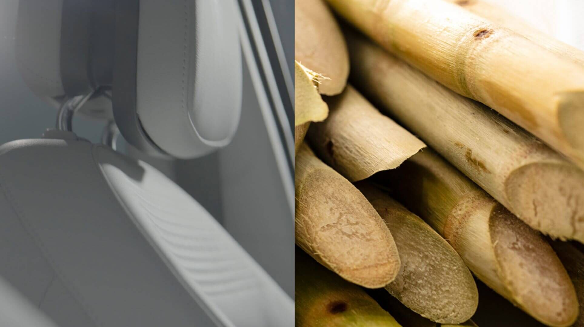 Hyundai uses bio components extracted from sugar cane and corn as sustainable materials for the IONIQ 5.