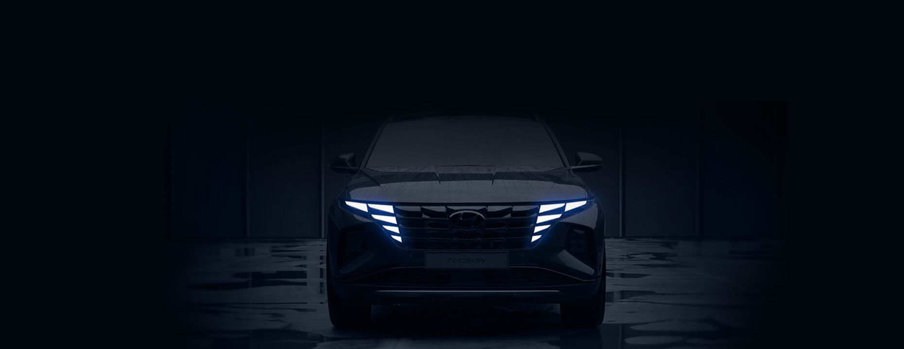 hyundai binek suv ve ticari arac