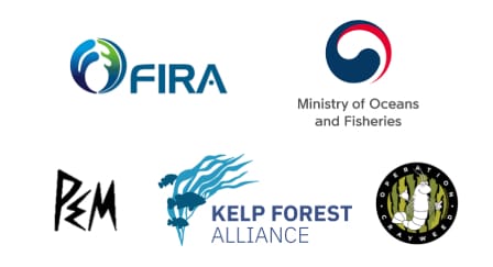 Forests Without Names: Bringing light to the Sea Forests the World ...