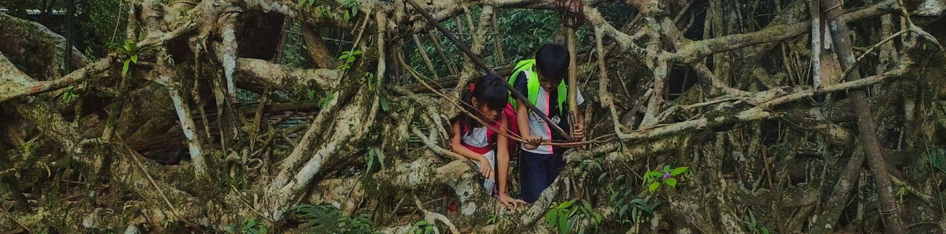 Two children are walking through the rainforest, looking at the branches.