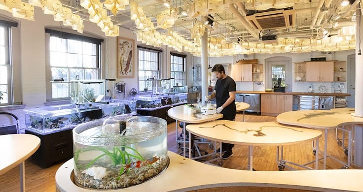 Rhode Island School of Design