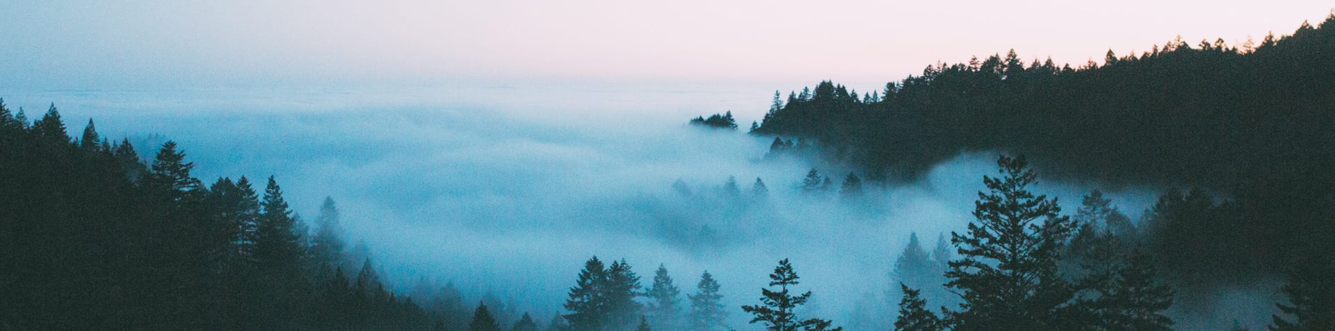 Foggy mountain