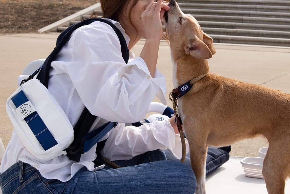 Pet collection women and dog