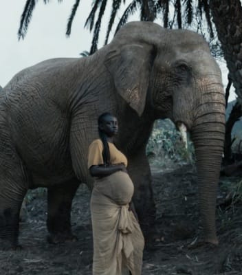 Expecting generation one Elephant