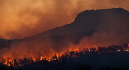 A forest fire burning against a mountainous backdrop.  