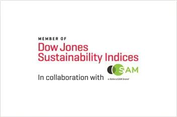 Dow ESG Assessments and RatingsJones Sustainability Indices