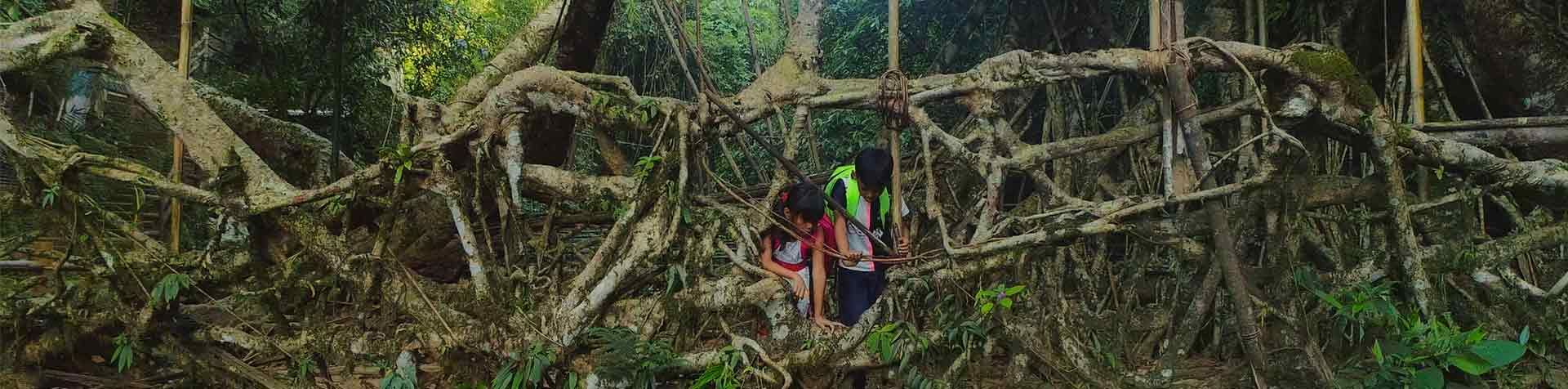 두 명의 어린이가 나뭇가지를 살펴보며 열대 우림 속을 걷고 있습니다.