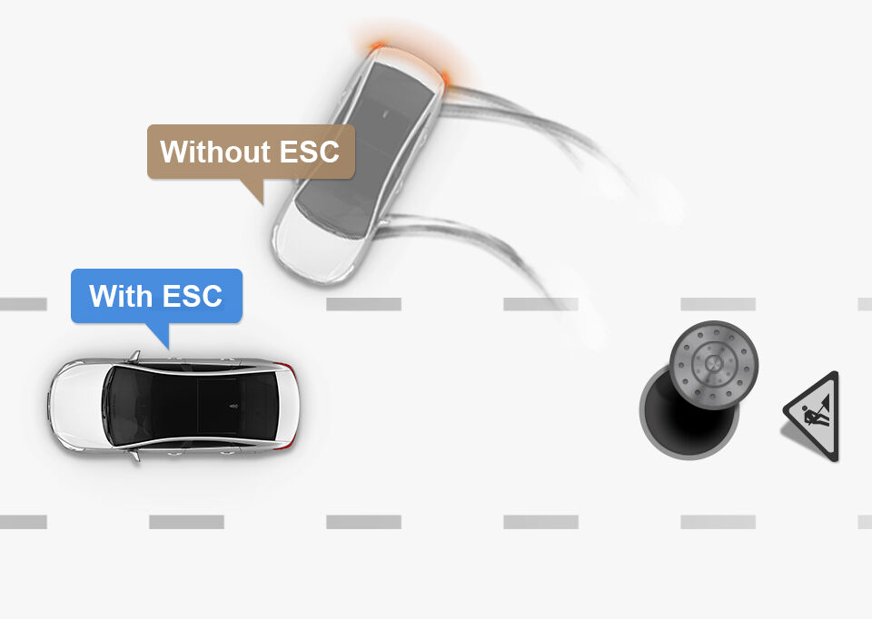 ESC image