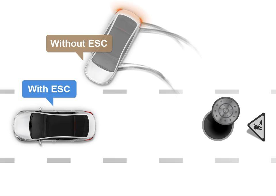 ESC image