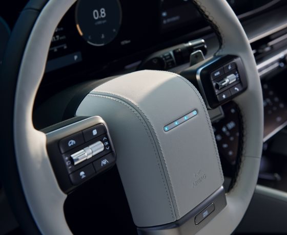 The steering wheel's four pixel lights illuminate.