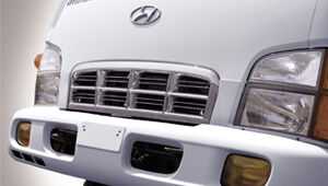 image of bumper, head lamps and radiator grill