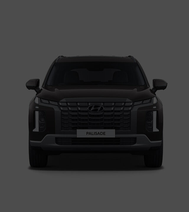 Palisade front design