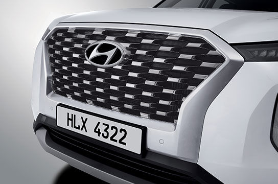 Palisade black & silver paint radiator grille