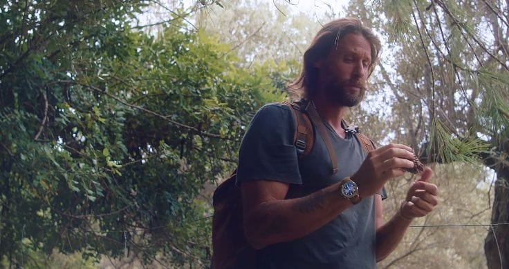 David de Rothschild wearing a backpack and a watch in the woods and looking at a piece of foliage.