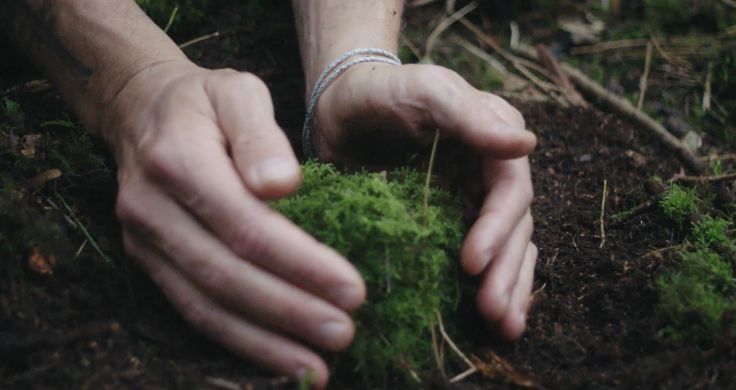 David de Rothschild’s hands in the earth gathering some green moss. 