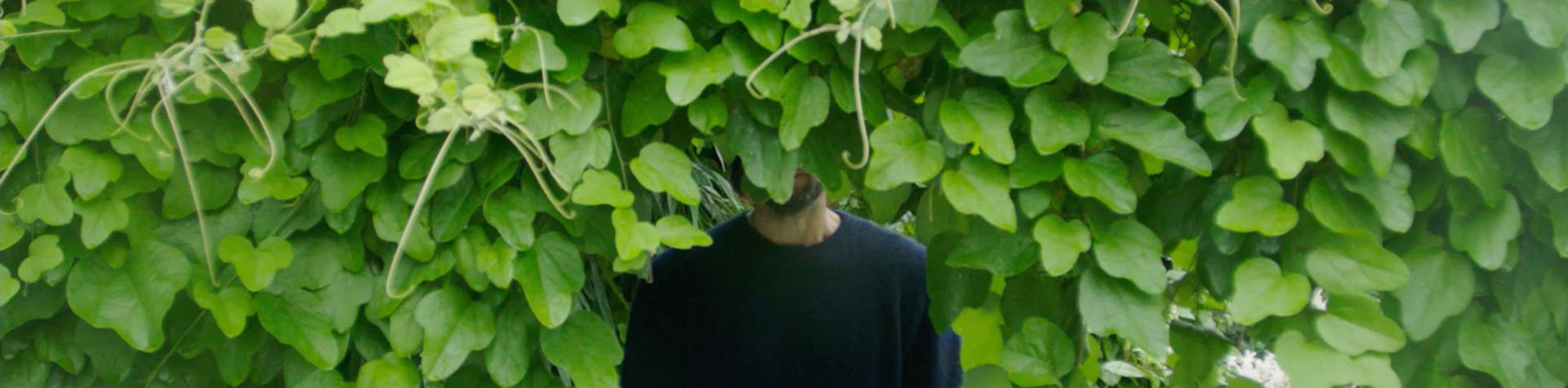 푸른 잎이 무성한 나무 뒤에 서 있는 데이비드 드 로스차일드.