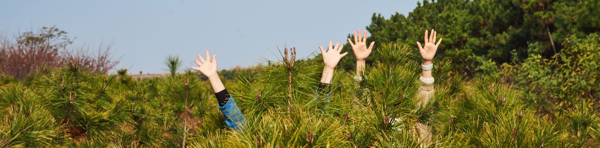 아이오닉 숲 한가운데에서 손을 흔드는 모습.