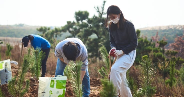 3 volunteers planting some of the 2,300 young trees.