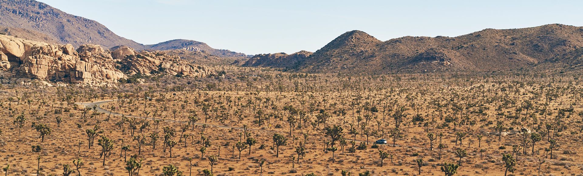 Desert